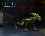 Aliens Burster Alien Fireteam Elite Serie 2 Actionfigur