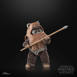 Wicket Actionfigur mit Speer von Hasbro Star Wars