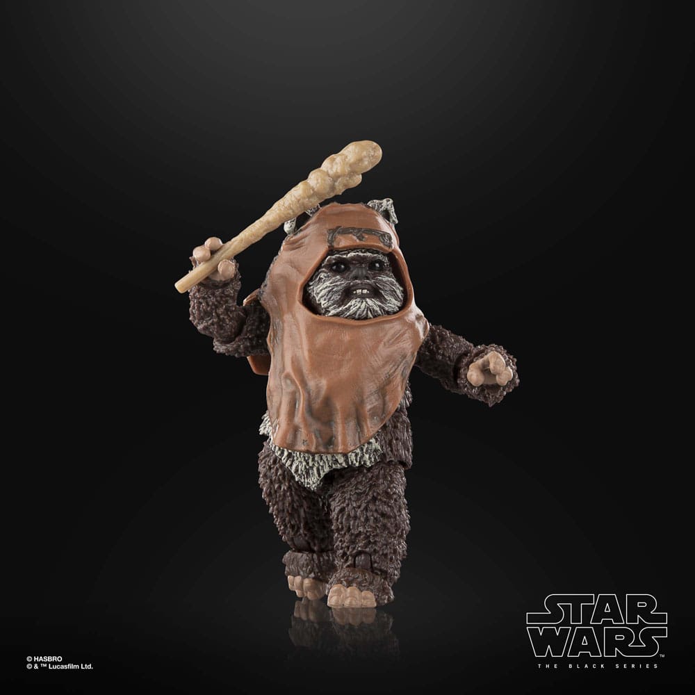 Wicket Star Wars Episode VI Black Series Actionfigur