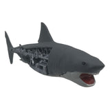 Jaws Mechanical Bruce Shark 1/1 Prop Replik von Factory Entertainment 3