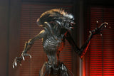 Alien Romulus Ultimate Scorched Xenomorph Actionfigur 10