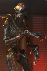 Alien Romulus Ultimate Scorched Xenomorph Actionfigur 11