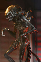 Alien Romulus Ultimate Scorched Xenomorph Actionfigur 12