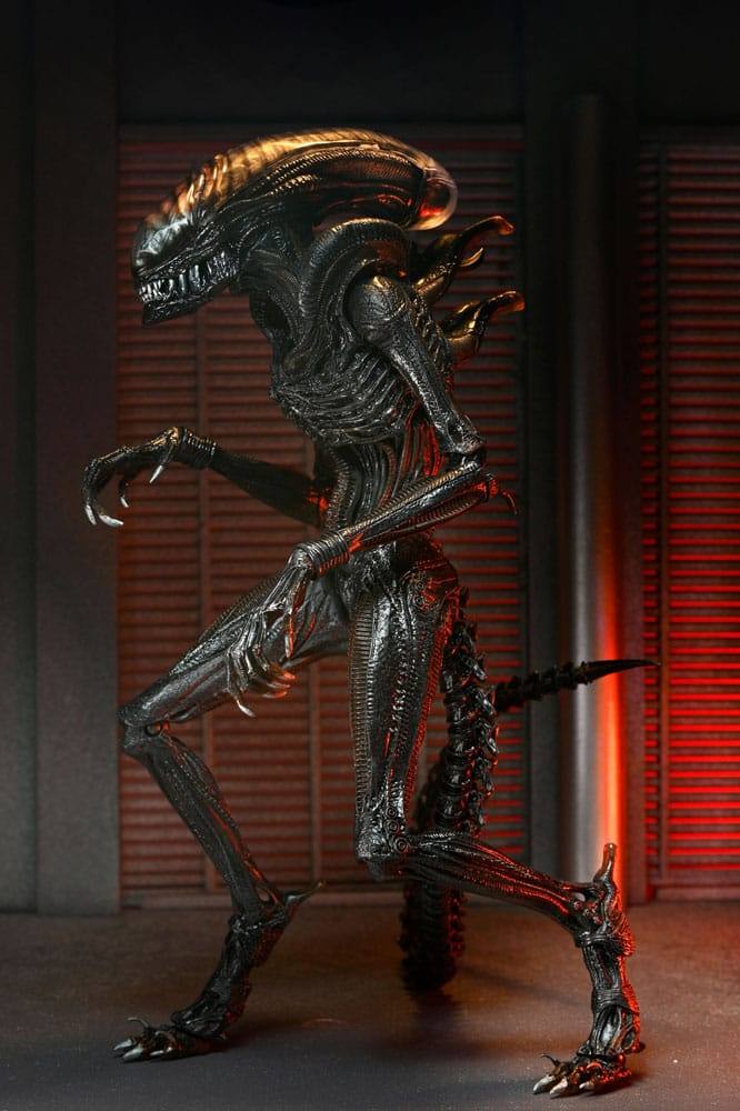 Alien Romulus Ultimate Scorched Xenomorph Actionfigur 7