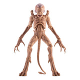 Pumpkinhead Das Halloween Monster 23 cm Actionfigur von Syndicate Collectibles front