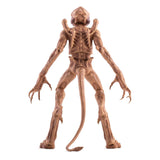 Pumpkinhead Das Halloween Monster 23 cm Actionfigur von Syndicate Collectibles back