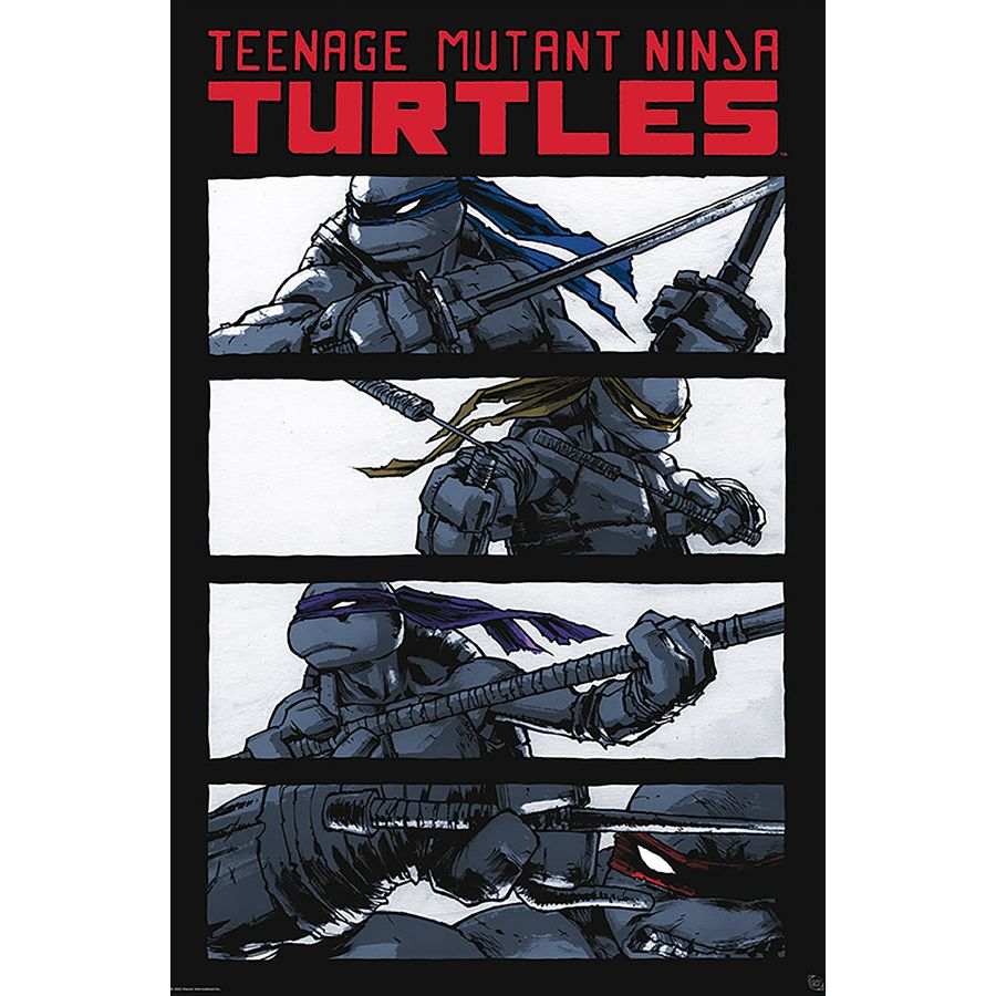 Teenage Mutant Ninja Turtles Poster